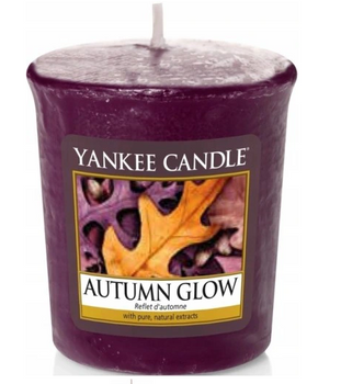 Yankee Candle Samplers Autumn Glow 49 g
