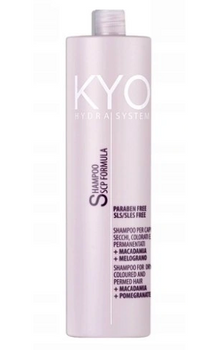 KYO Hydra System Dry Coloured Hair Shampoo 1000 ml